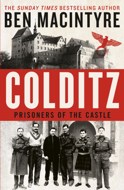 Coldiz: Prisoners of the Castle